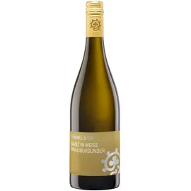Weingut Hammel & Cie Hammel Ganz in Weiss Grauburgunder trocken 2024