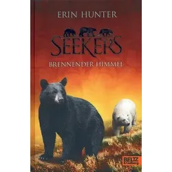 Brennender Himmel - Seekers (Bd. 11)