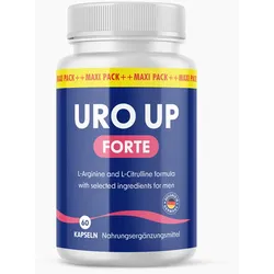 URO UP FORTE im Maxi-Pack (60 Kapseln)