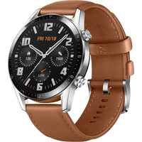 Classic 46 mm pebble brown