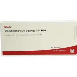 Wala FOLLICULI LYMPH AGG GL D30