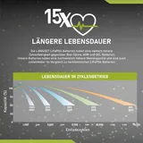 LANGZEIT Batterien Langzeit LiFePO4 100Ah 12V