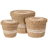 Spetebo Aufbewahrungskorb Seegras 3er Set 37 x 32 x 26 cm beige