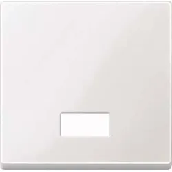 Merten Wippe Symbol Fenster pwsgl 432819