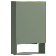 Vicco Hängeschrank Holzwerkstoff 60 x 100 cm Grün mit Tür