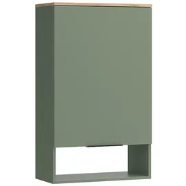 Vicco Hängeschrank Holzwerkstoff 60 x 100 cm Grün mit Tür