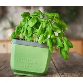 Gusta Garden Herbs Buddy 15,3 x 14,8 x 14 cm Dunkelgrün Komplettset