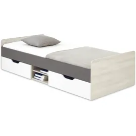 Deine Möbel 24 Jugendbett REMI 90 x 200 cm Eiche matt weiß-beige