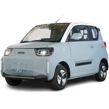 Stormborn City-Pony blau