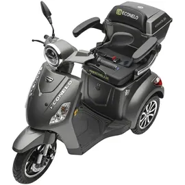 ECONELO Seniorenmobil P1000 25 km/h 1000 Watt Grau