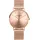 Paul Valentine Damen Armbanduhr MELROSE MESH 38 MM PV38411