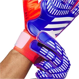 Adidas Predator Training Torwarthandschuhe Lucid Blue / Solar Red / White 11