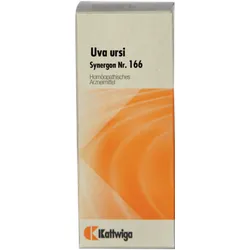 Synergon Komplex 166 Uva ursi Tropfen 50 ml