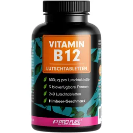 ProFuel Vitamin B12 Lutschtabletten 240 St.