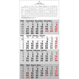Adina Viermonatskalender 60x30cm 2027