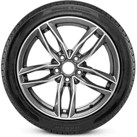 Radar Dimax 4 Season RP-4S 195/65 R15 95V