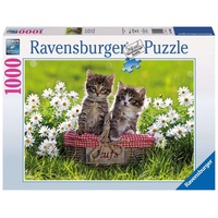 Ravensburger Picknick auf der Wiese (19480)