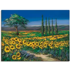 Leinwandbild ARTLAND "Sonnenblumenfeld", gelb (farbe bild(er): gelb), B:80cm H:60cm, Canvas, Leinwand, Bilder, auf Keilrahmen gespannt
