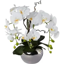 Creativ green Kunstorchidee Phalaenopsis, Creativ green, Höhe 55 cm, im Keramiktopf weiß