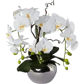 Creativ green Kunstorchidee Phalaenopsis, Creativ green, Höhe 55 cm, im Keramiktopf weiß