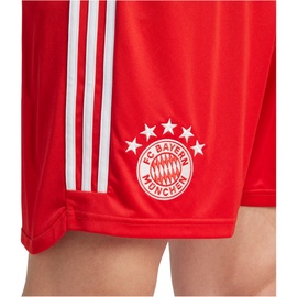 adidas FC Bayern München 23/24 Heim Fußballshorts Herren rot L