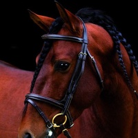 Horseware Amigo Deluxe Bridle- black, Pony