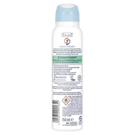 CD Große Freiheit Spray 150 ml