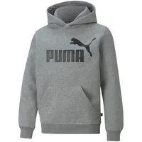 Puma Essentials Big Logo Hoodie FL B medium gray heather 176