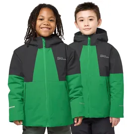 Jack Wolfskin Actamic Funktionsjacke Unisex Grün 116