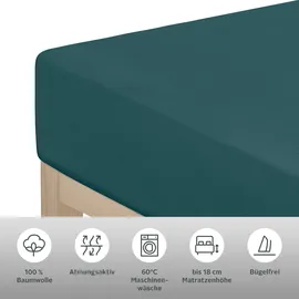 OTTO home Spannbettlaken Jersey 90 x 200 cm blau 2 St.