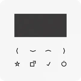 Jung Display für Smart Radio DAB CD-DISP WW