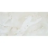 Vabene Bodenfliese Feinsteinzeug Opium 60 x 120 cm Creme poliert