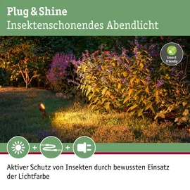 Paulmann Plug & Shine LED Spot Sting insect-friendly Anthrazit 3er-Set