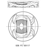 Mahle 028 PI 00117 002