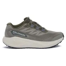 Salomon Aero Blaze 3 GRVL Herren Grün/Beige 45