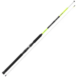 Daiwa Sealine X`treme Interline Light 762MH, 2 Teile, 2,25m, 100-250g