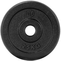 Sporttrend 24 Hantelscheiben Hantelscheibe 2,5KG Gusseisen 30/31mm, Gewichtsscheibe