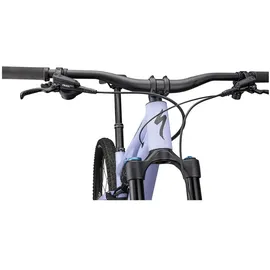 Specialized Stumpjumper 2025 29 Zoll RH 4 cm lila