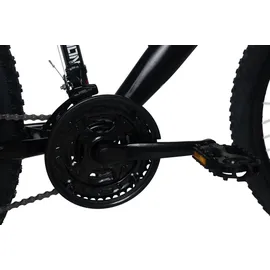 WYLD Scrawler 29 Zoll RH 51 cm schwarz-grün