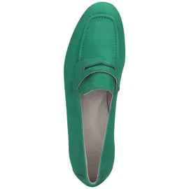 Paul Green 2954 grün 6,5