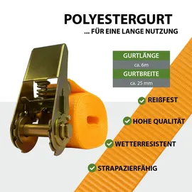 Trutzholm Spanngurte 6 m 1000 kg 5 Stück