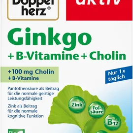 Doppelherz Ginkgo + B-Vitamine + Cholin Kapseln