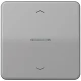Jung Taster FM CD 1700 P GR