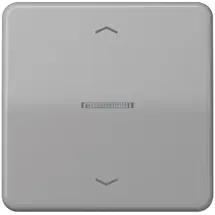 Jung Taster FM CD 1700 P GR