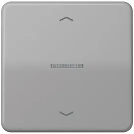 Jung Taster FM CD 1700 P GR