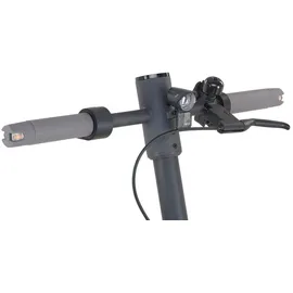 Prophete E-Scooter 1.0 – 36V 360W Motor, bis 30 km Reichweite, integrierter Akku, LED-Display mit Wegfahrsperre, 10" Luftreifen, Trommel- & Elektrische Bremse,