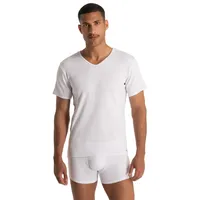 Bruno Banani V-Shirt BRUNO BANANI "FINE RIB", Herren, Gr. S, weiß, Feinripp, Obermaterial: 96% Baumwolle, 4% Elasthan, unifarben, Basic hüftbedeckend, V-Ausschnitt, Shirts, Feinripp, Kurzarm, V-Neck, Cotton-Mix