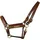 EQuest Lederhalfter Inscribe L Cognac
