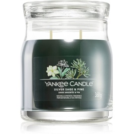 Yankee Candle Silver Sage & Pine Signature Jar Duftkerze 368 g