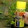 JBL Lotl Grano XL 250 ml